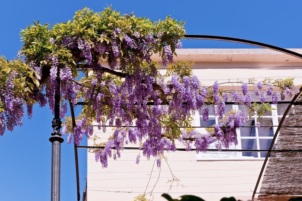Hotel Can Roses Сольер Экстерьер фото